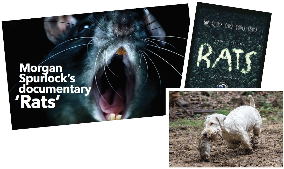 Spurlock Rats Documentary Spurlock Rats Documentary